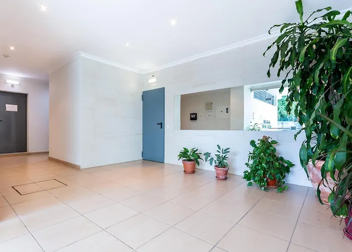 Sacha's Sweet Home, Lovely 2 Bedroom Apartment, Walking Distance To Town, And Marina